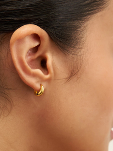 Zenith Hoops Small