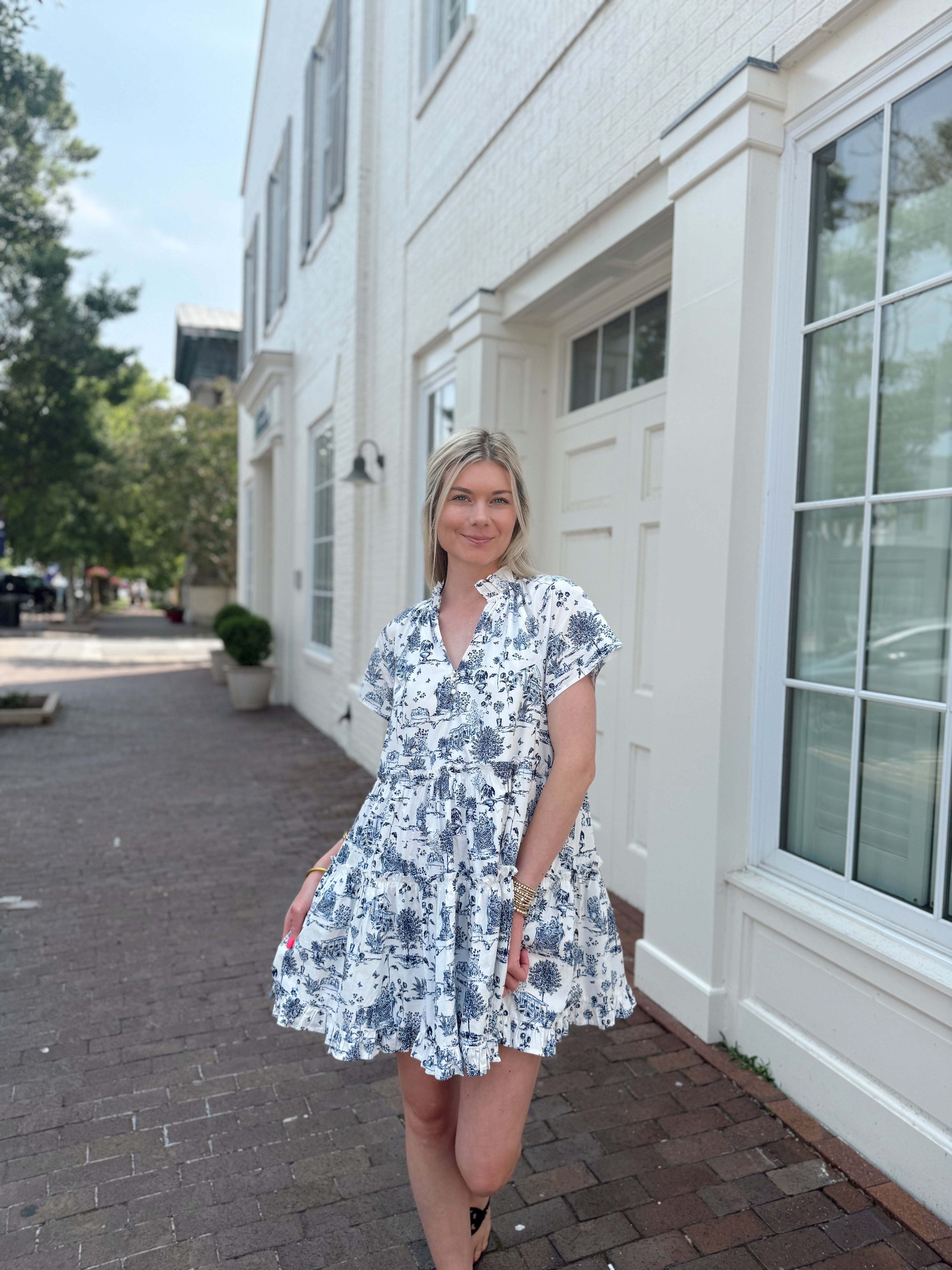 Charleston Toile Mini Dress